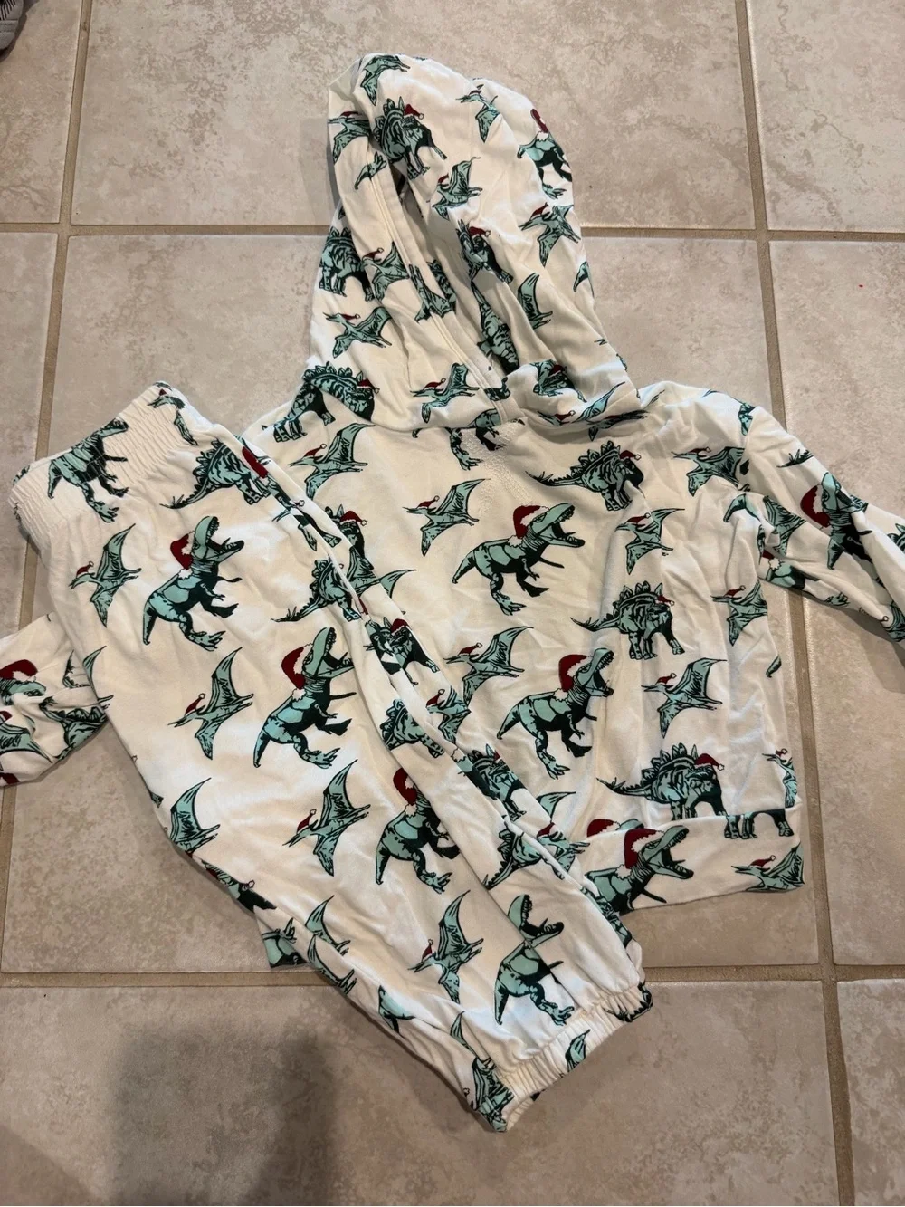 kate quinn Cream Hoodie and Joggers with Green Dino Print and Red Accents